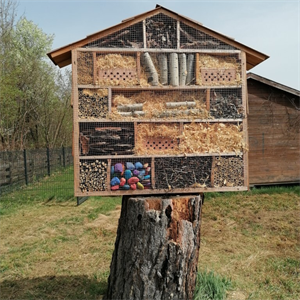 KIGA Insektenhaus & Hochbeet